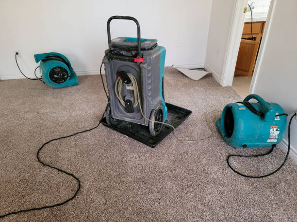 Best Water damage cleanup near me  in Cuyahoga Falls, OH