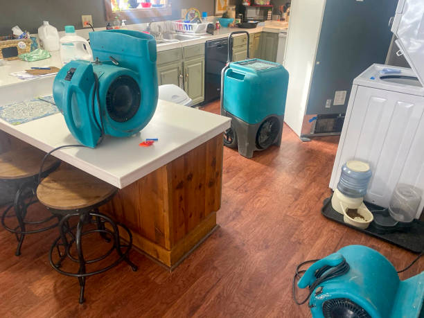 Best Water damage restoration cost  in Cuyahoga Falls, OH