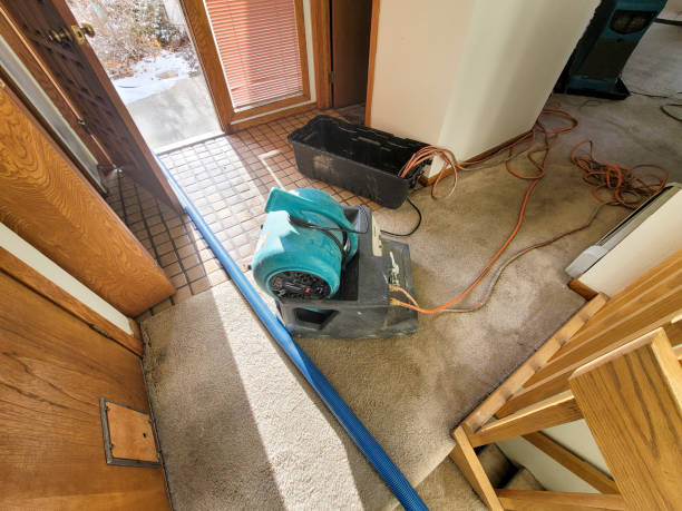 Best Sewage cleanup and water damage restoration  in Cuyahoga Falls, OH