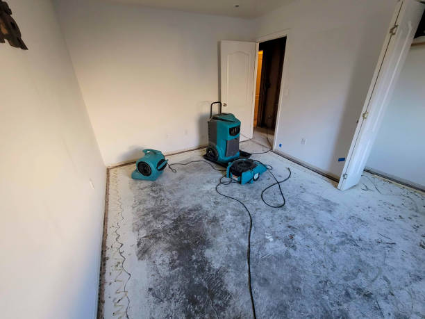 Best Water damage restoration near me  in Cuyahoga Falls, OH