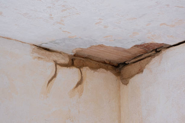 Best Water damage restoration near me  in Cuyahoga Falls, OH