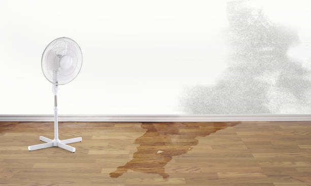 Best Basement water damage restoration  in Cuyahoga Falls, OH