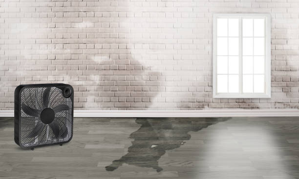 Best Flood damage cleanup  in Cuyahoga Falls, OH