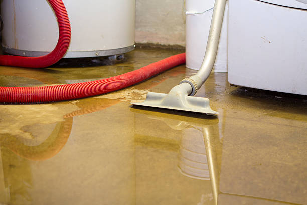 Best Flood restoration services  in Cuyahoga Falls, OH