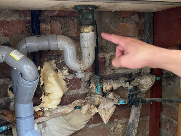 Best Carpet water damage restoration  in Cuyahoga Falls, OH