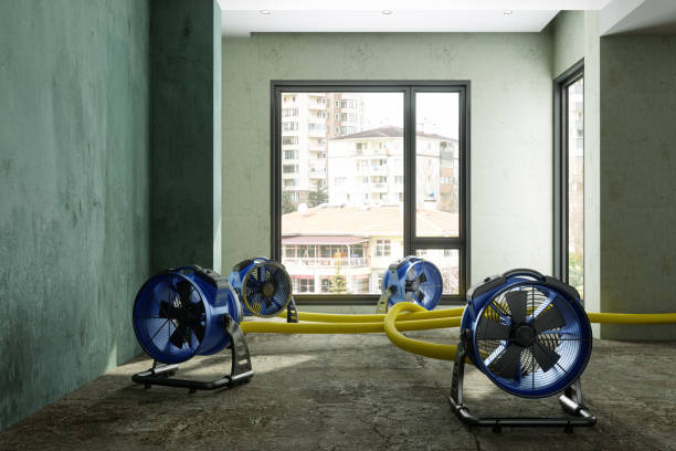  Cuyahoga Falls, OH Water damage restoration Pros