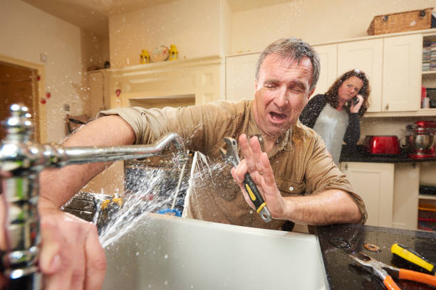 Best Professional water damage repair  in Cuyahoga Falls, OH